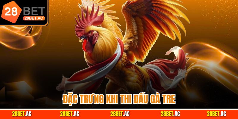 Đặc trưng khi thi đấu gà tre